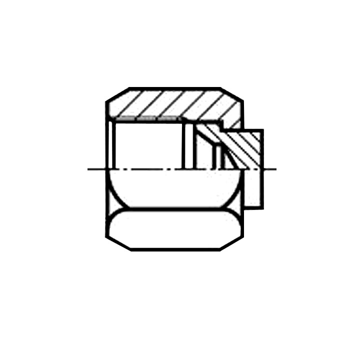 Bouchon d'étanchéité pour haute pression - en acier galvanisé - avec écrou  hexagonal creux - avec joint d'étanchéité NBR - avec filetage mâle G 1/8 