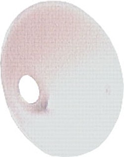Tarcza dla Ausblasedüsen plastiku