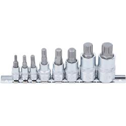 Bitset - XZN - 8-delig