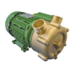 Sidekanals centrifugalpumpe EPm 220/20 - 230 Volt - 29 l / min - 1,74 m³ / h - Bronzehus og løbehjul