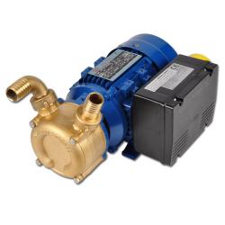 Impellerpumpe - BINDA EP Nautic - Bronse - Strømningshastighet 25 til 500 l/min - 230 eller 400 V - 0,22 til 5,50 kW
