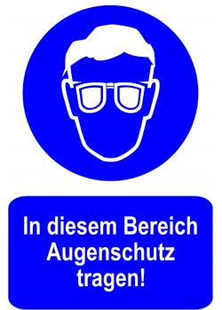 Gebotsschild - "In diesem Bereich Augenschutz tragen" - 20x30cm/30x45cm