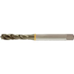 Macho de roscar FORUM M D376C - HSS-E - en bruto - Forma C - M12 a M30 - Precio por unidad