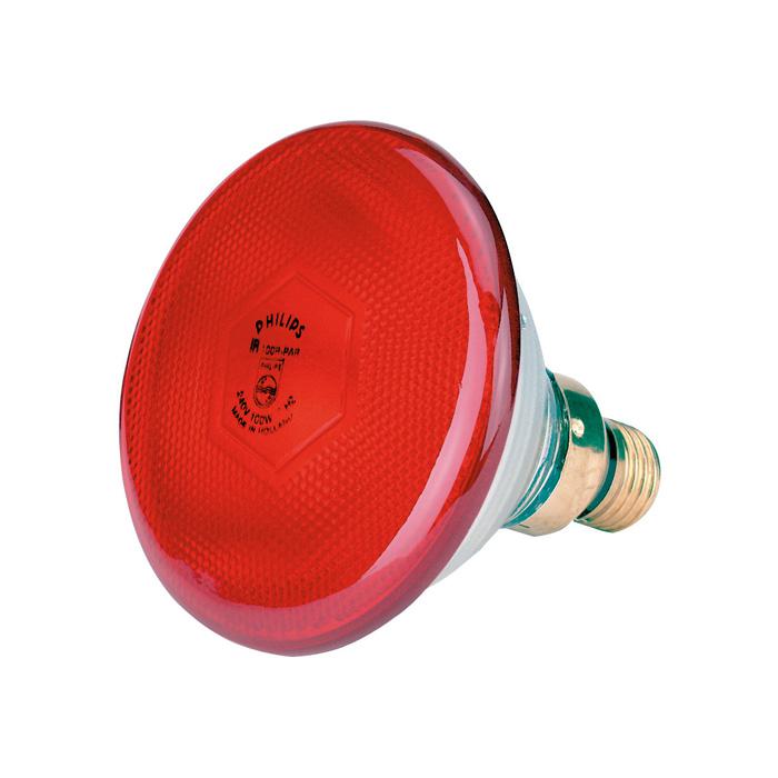 Infraroodspaarlamp - Philips - persglas - 100 tot 175 W