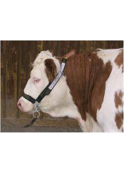 Cabestro de vaca con cadena para la barbilla
