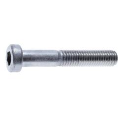 Flachkopf Zylinderschraube - Stahl verzinkt - DIN 6912 - M6 x 60 mm