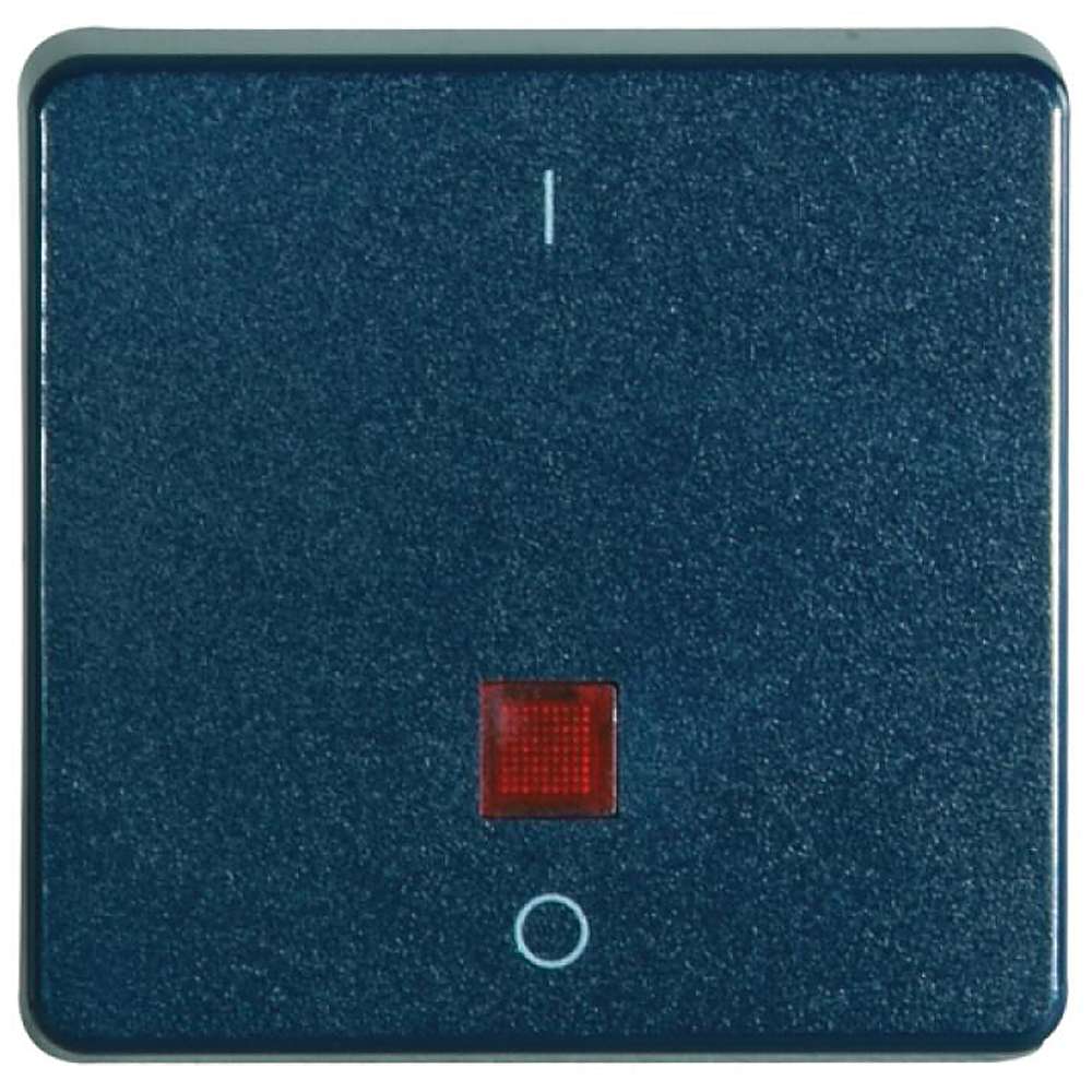 Balancín de superficie - color azul acero - IP 55 - con/sin ojo de señalización