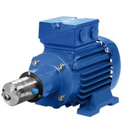 Gearpumpe Verdergear VGS standard - max. 330 l / min - maks. 17 bar - maks. 3000 o / min - lille pumpehoved