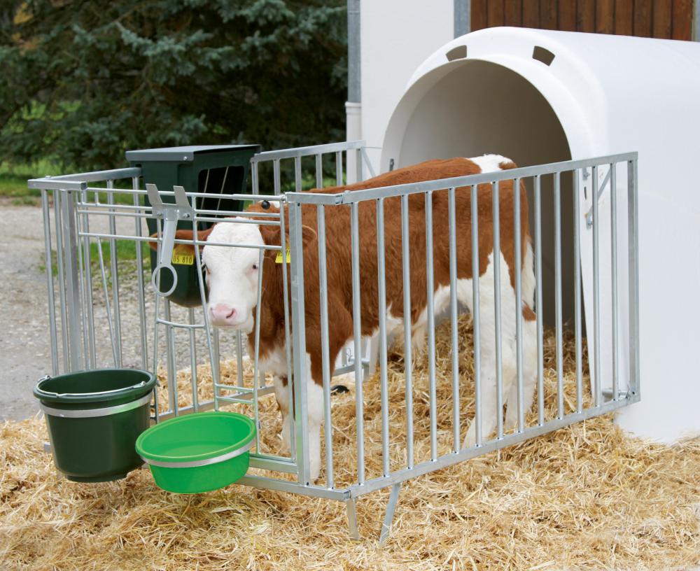 Tilbehør - for CalfHouse Master Plus - forskjellige versjoner