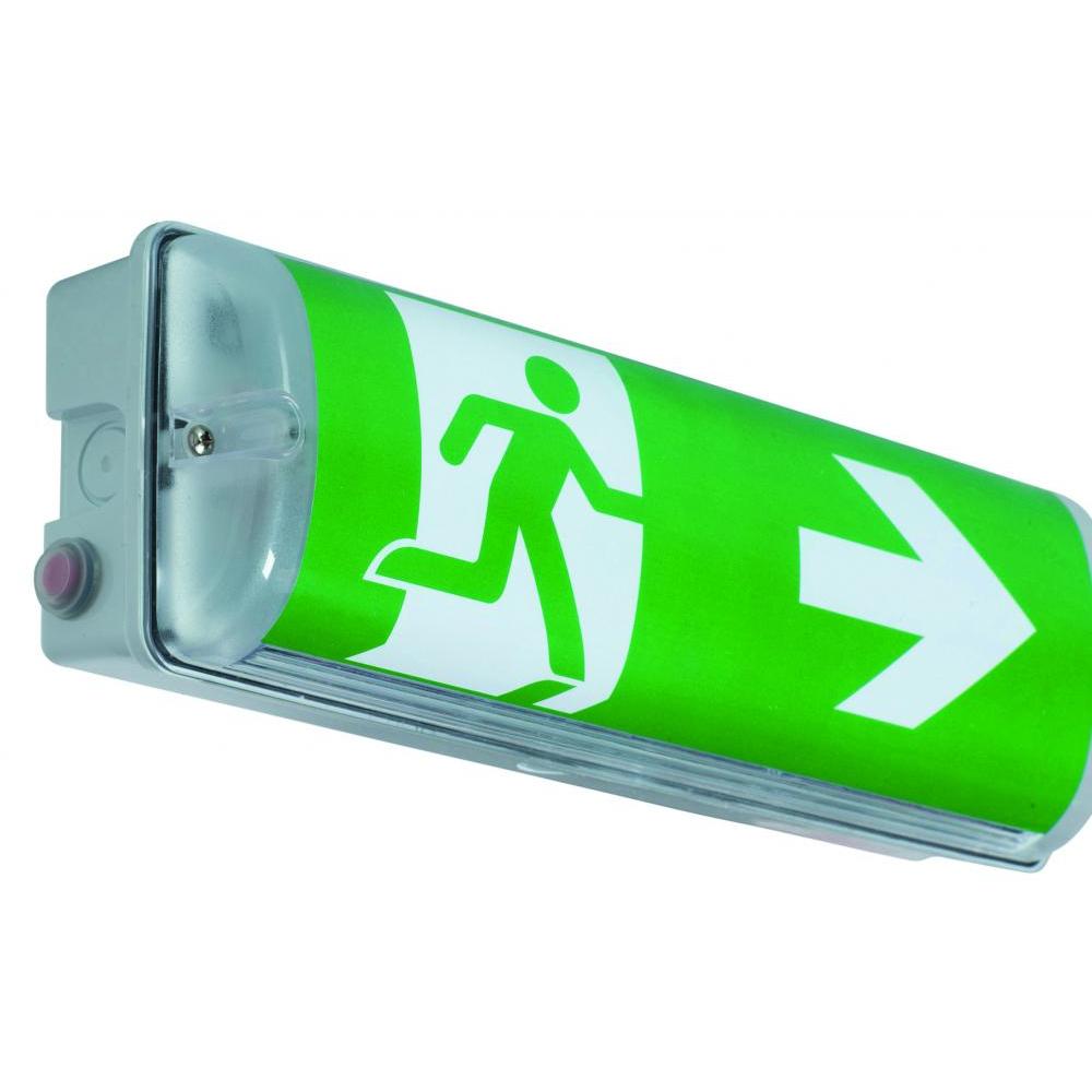 MovilCom Segnale Luminoso Uscita Emergenza PVC 150x300 Mm Classe B - Omologato Normativa RD 513/2017 (RIPCI), Fotoluminescente