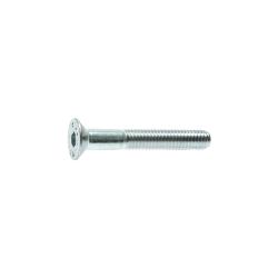 Senkschraube - DIN7991/ISO10642 - Stahl verzinkt 8.8 - M 4x10 - Preis per Stück