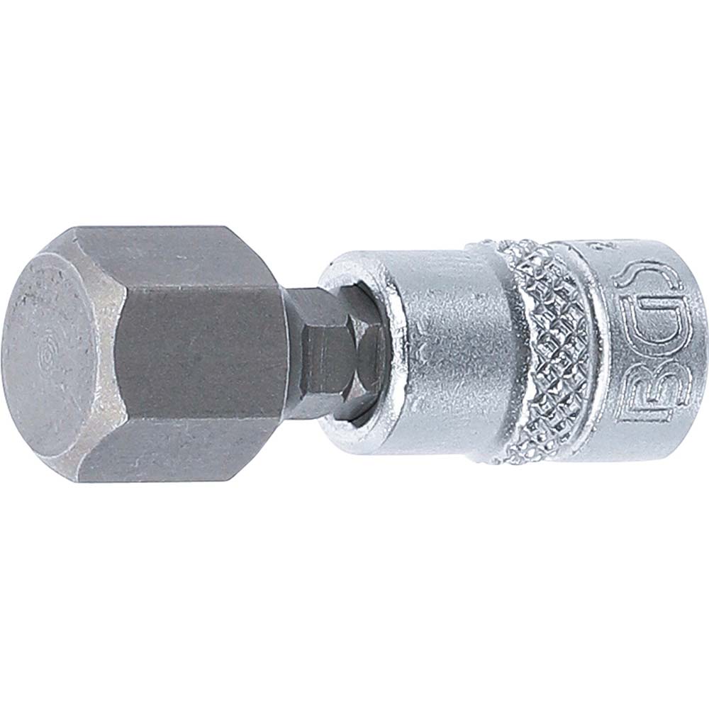 Bit-inzetstuk - inwendige zeskant - aandrijving 6,3 mm (1/4") - lengte 10 en 12 mm