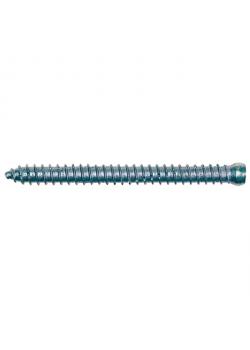 Tornillo del marco de la ventana FFSZ - culata