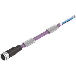 FESTO - Cable de conexión - NEBC-M12G5-ES-5-LE5-CO - (8074191) - Longitud 5 m - Conforme a RoHS - Precio por unidad