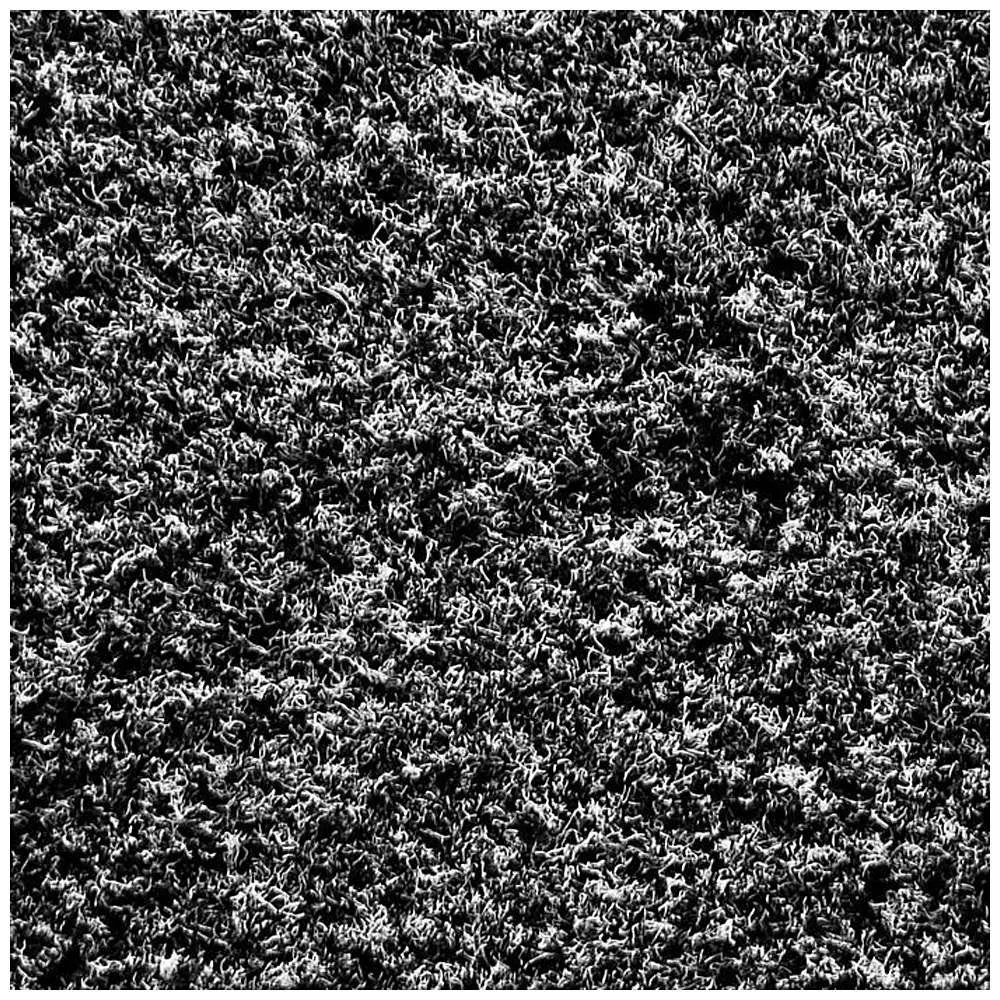 Tapis de propreté Eazycare Aqua - épaisseur 9 mm - pour l'intérieur - prix par pièce ou prix par mètre