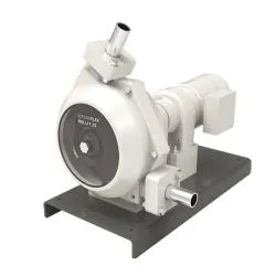 KOTFLÜGEL HINTEN - JM MOTORS EVOLIS 4T 50 (2018 - 2022 KOTFLÜGEL HINTEN - JM MOTORS EVOLIS 4T 50 (2018 - 2022