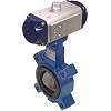 Butterfly Valves - Driven
