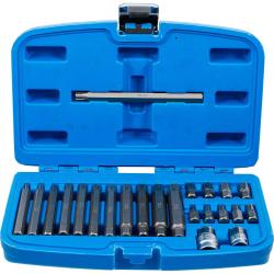 Ribe-Bit Set - 22-osainen