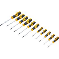 Star Screw Driver Set With Frontal Bore - 11-Partite