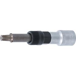 Bit-Einsatz-Lichtmaschine - T50 x 100 mm - 33-fach-verzahnt - CV-Stahl