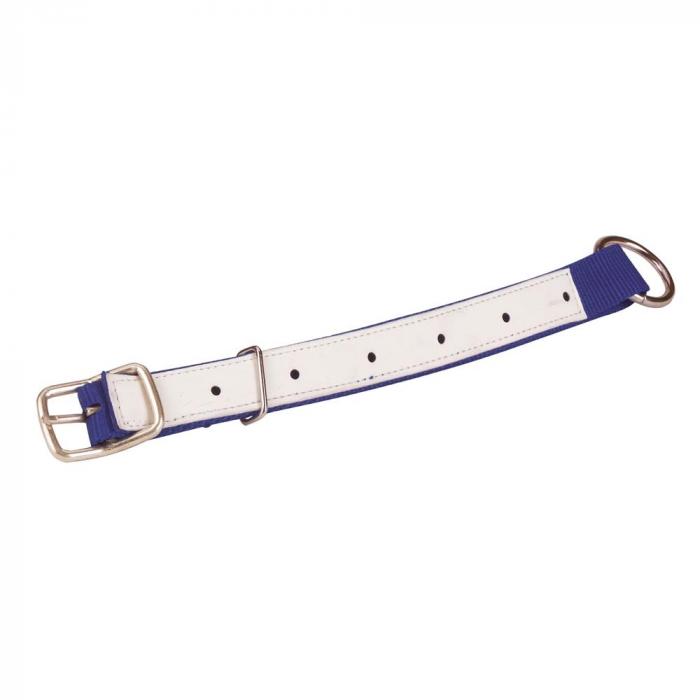Neck strap for sheep - nylon, leather reinforced - length 60 cm - width 2.5 cm - various colors