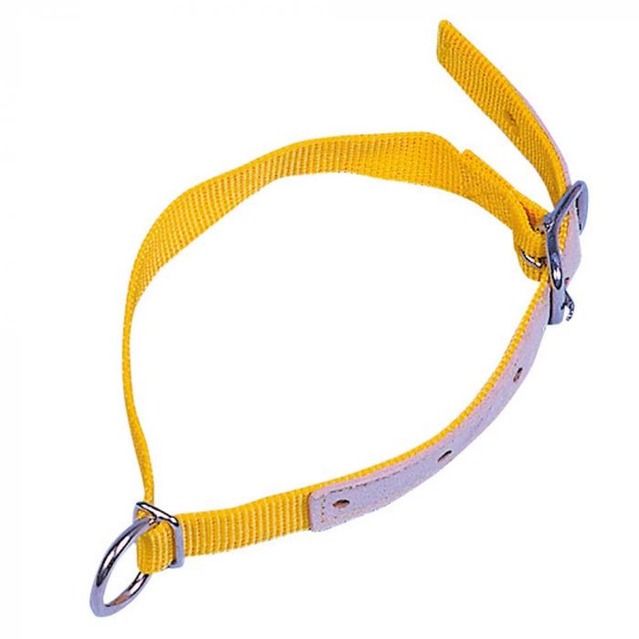 Neck strap for sheep - nylon, leather reinforced - length 60 cm - width 2.5 cm - various colors