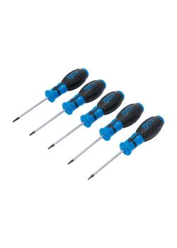 Screwdriver set - T-profile (for Torx) - with / without hole - T6 to T10 - blade length 80 mm - 5 pcs.