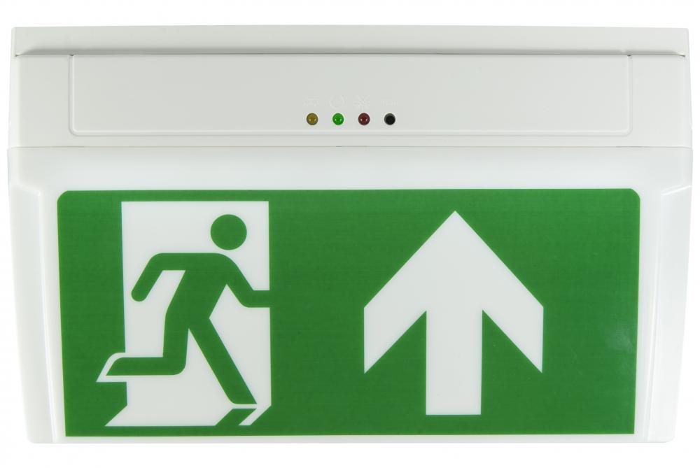 Exit sign luminaire E-LUX STANDARD - polycarbonate housing - automatic test function AUTOTEST - different versions
