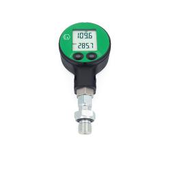 Digital pressure gauge ECO 1-Ei - 0 to 300 bar - connection AG G1/4" - overpressure 60 bar