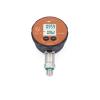 LEO1-Ei - digitalt manometer - -1 til 1000 bar - nøjagtighed ±0,1 %FS