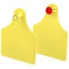 FlexoPlus - cattle ear tag - D/D and F/F - blank - spike and hole part - yellow - VE 25 pieces - price per VE