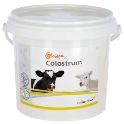 Globigen Colostrum - 1 do 2,5 kg - Pasza uzupełniająca - Cena za wiadro