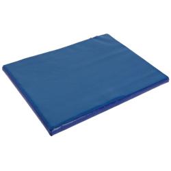 Disinfection mat - capacity 6 l - dimensions (L x W x H) 55 x 45 x 3 cm - blue