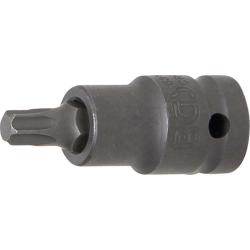 Force-bit application - T profile T47 - 1/2 "Drive - CRO-MO steel