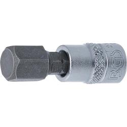 Bit insert - hexagon socket - drive 6,3 mm (1/4 ") - size 10 and 12 mm