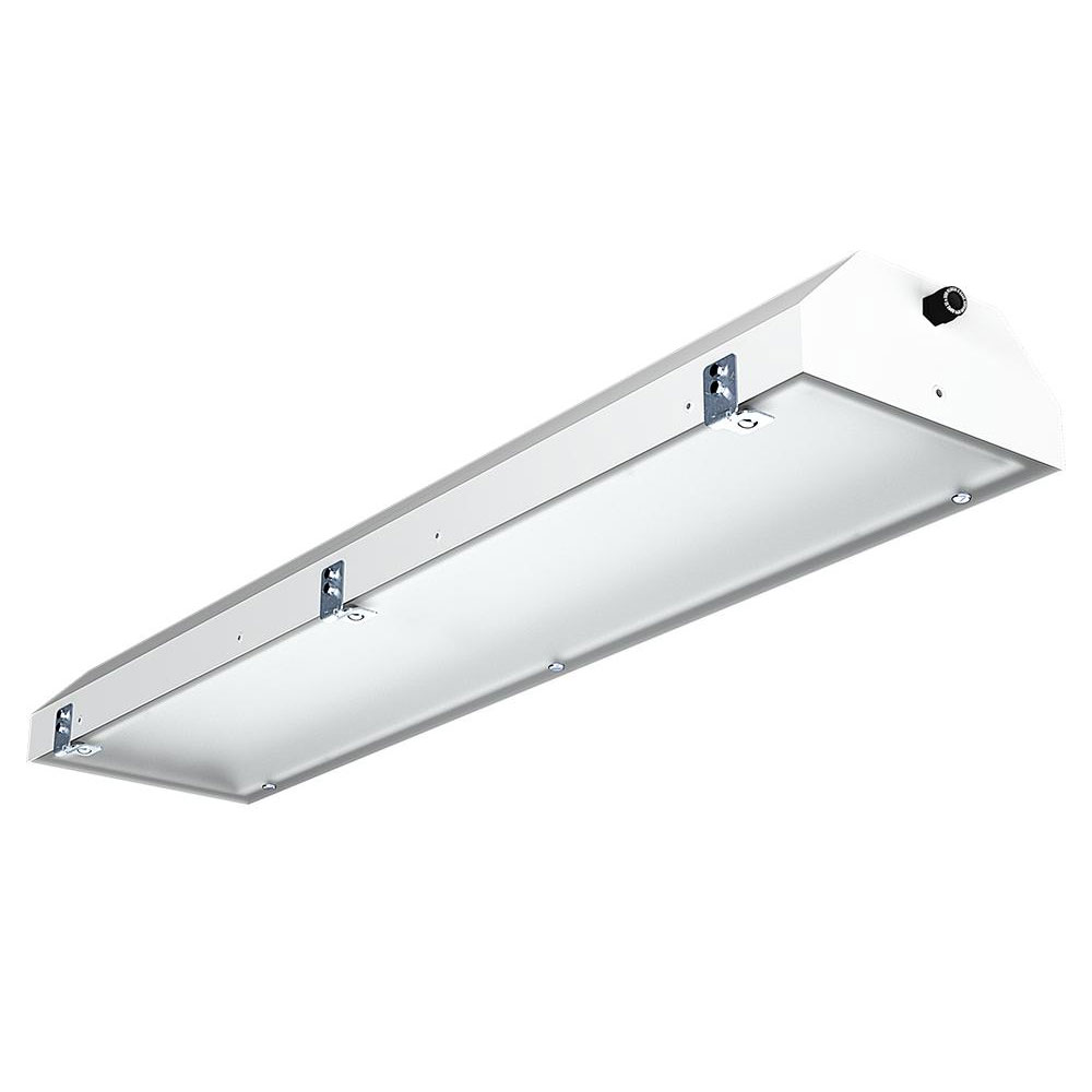EX-Luminaire X-LUX PREMIUM - vandal-proof - sheet steel pitched roof - different versions