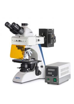 Microscope - trinocular tube - with fluorescent setting