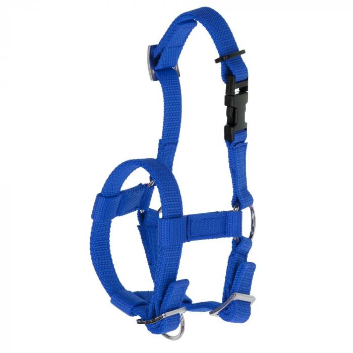 Alpaca halter - adjustable - 20 mm - polypropylene - blue, black and red
