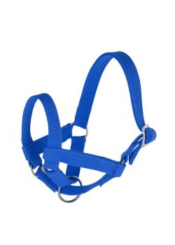 Halter for llamas and alpacas - size 50 and 60 - polypropylene - blue - price per piece